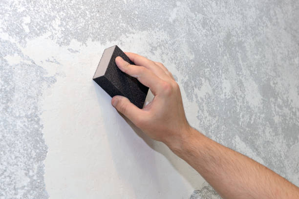 Best Post-Construction Mold Inspection  in Mi Wuk Village, CA
