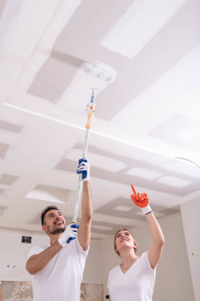 Reliable Mi Wuk Village, CA Mold Removal Solutions