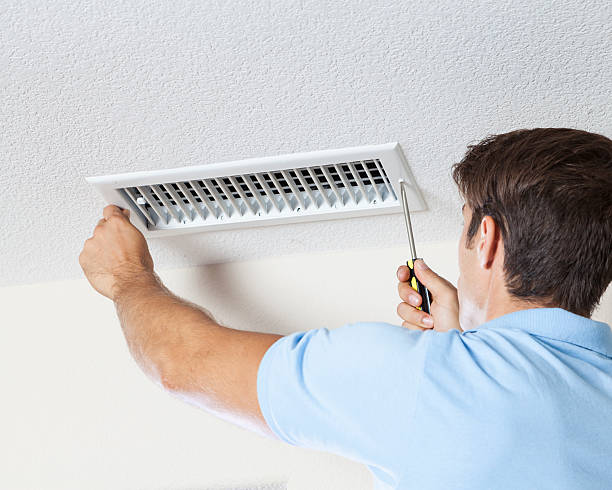 Best Black Mold Removal  in Mi Wuk Village, CA